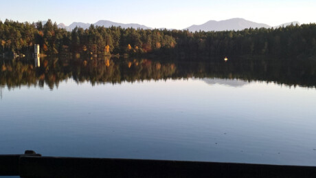 forstsee Forstsee, 2017