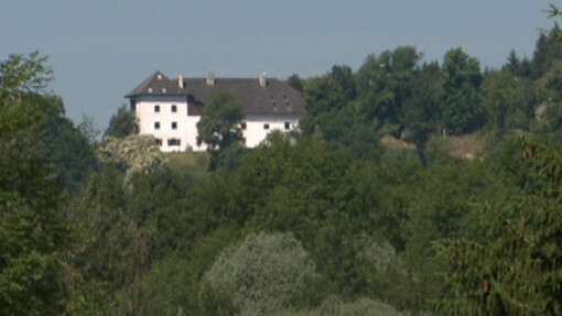 Schloss Saager, 2013 Saager